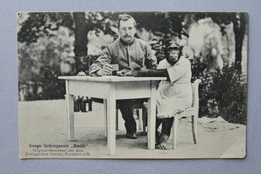 Ansichtskarte AK Frankfurt Main 1913 Zoologische Zoo Garten Kongo Schimpansin Basso Affe Architektur Ortsansicht Hessen